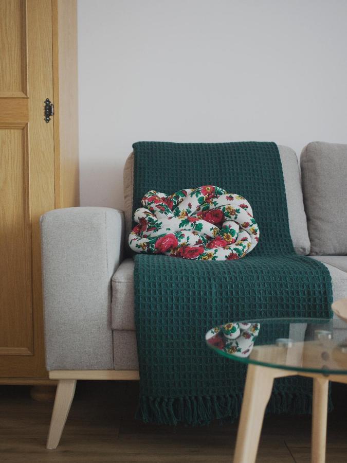 Zwijaczowka Bed & Breakfast Zakopane Luaran gambar