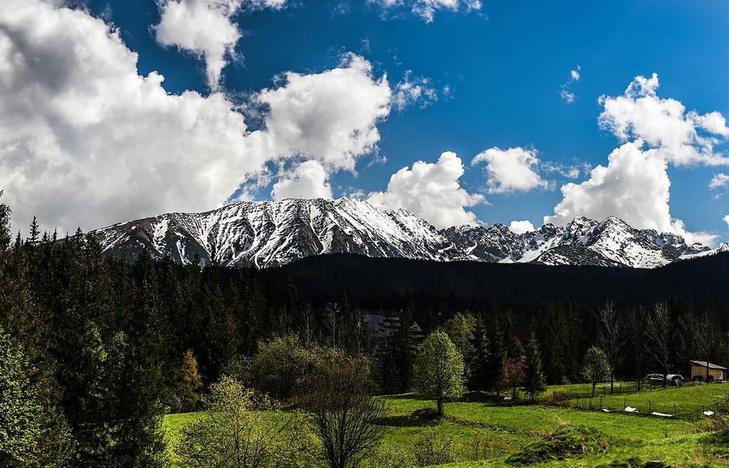 Zwijaczowka Bed & Breakfast Zakopane Luaran gambar