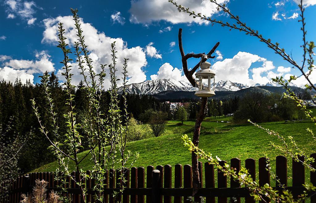 Zwijaczowka Bed & Breakfast Zakopane Luaran gambar